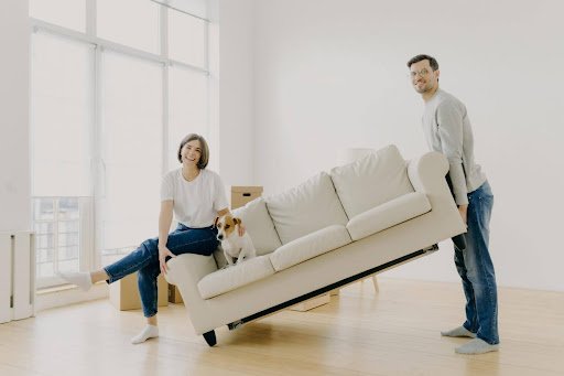 Couple moving a modern furniture into a bright living room with a small dog sitting beside them