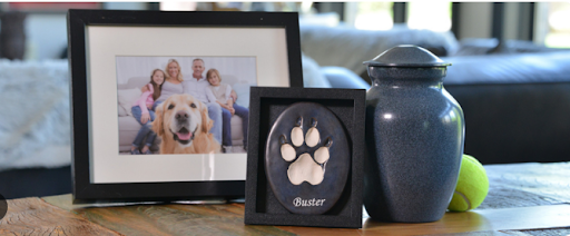 Saying Goodbye with Love Through Pet Memorial Services in Delhi